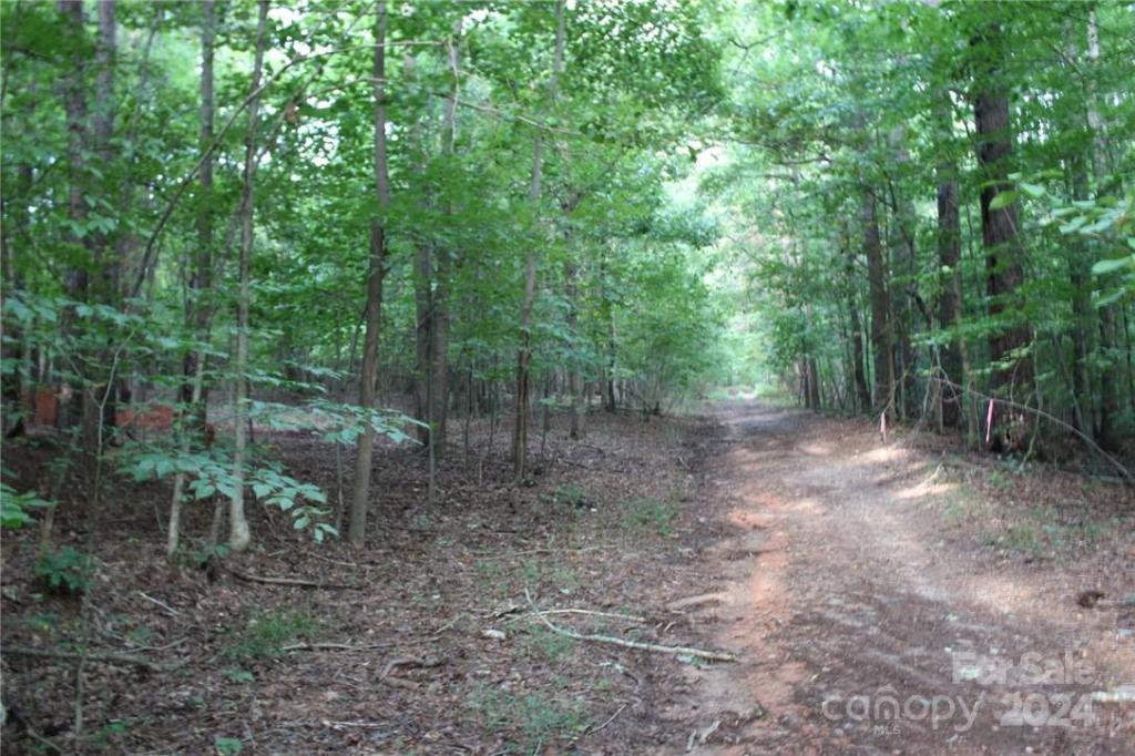 MLS #CAR3906176 img 5