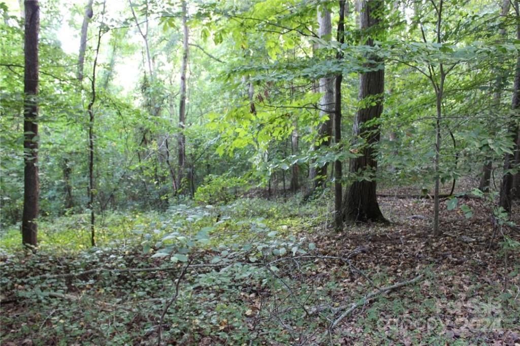 MLS #CAR3906176 img 6