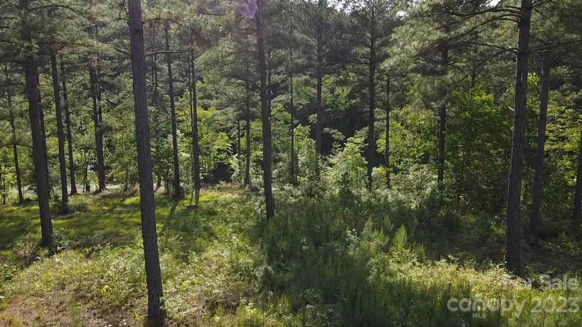 114 Table Rock NW Trace Valdese NC 28690 CAR4010504