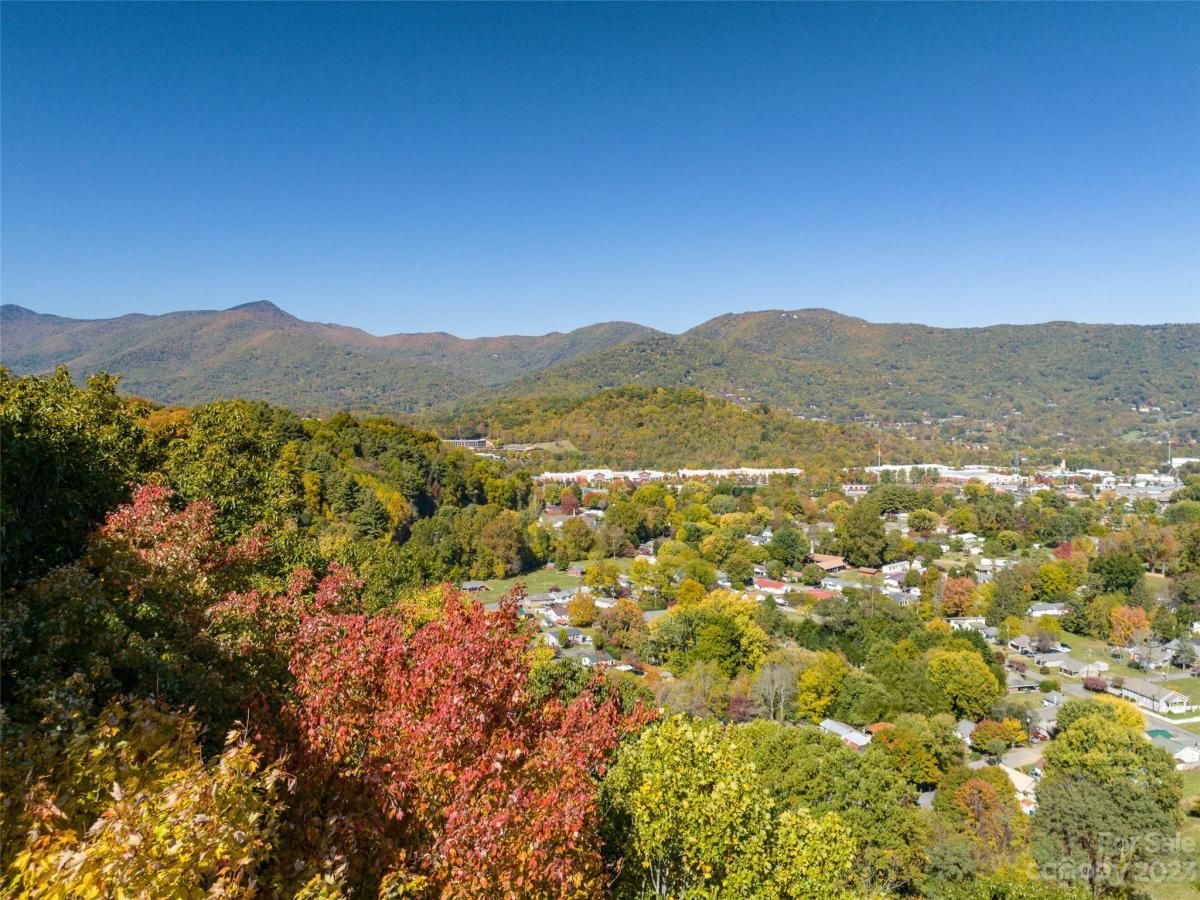 TBD Browning Branch Road Waynesville NC 28786 CAR4039552