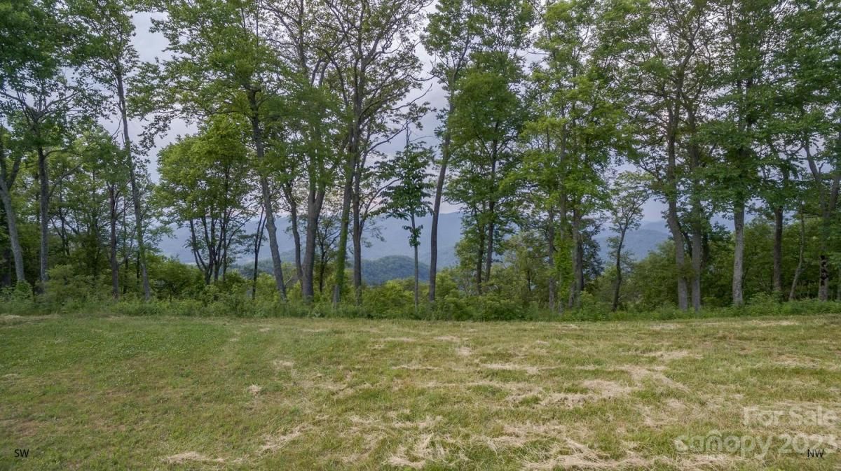 1300 Elk Mountain Scenic Highway Asheville NC 28804 CAR4035598