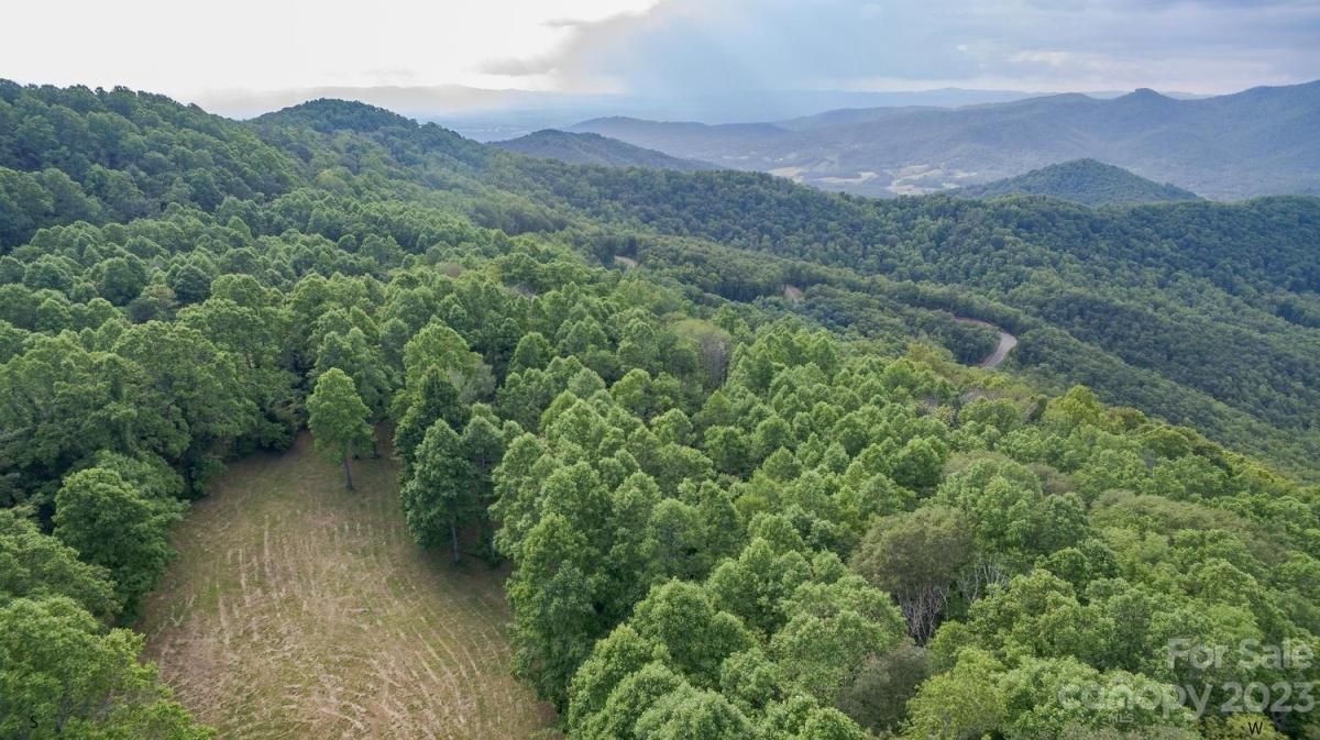 1300 Elk Mountain Scenic Highway Asheville NC 28804 CAR4035598