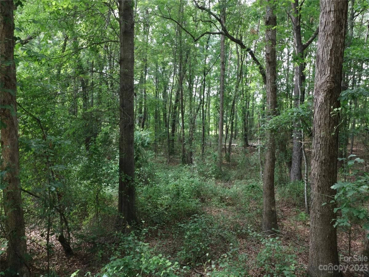 MLS #CAR4046631 img 1