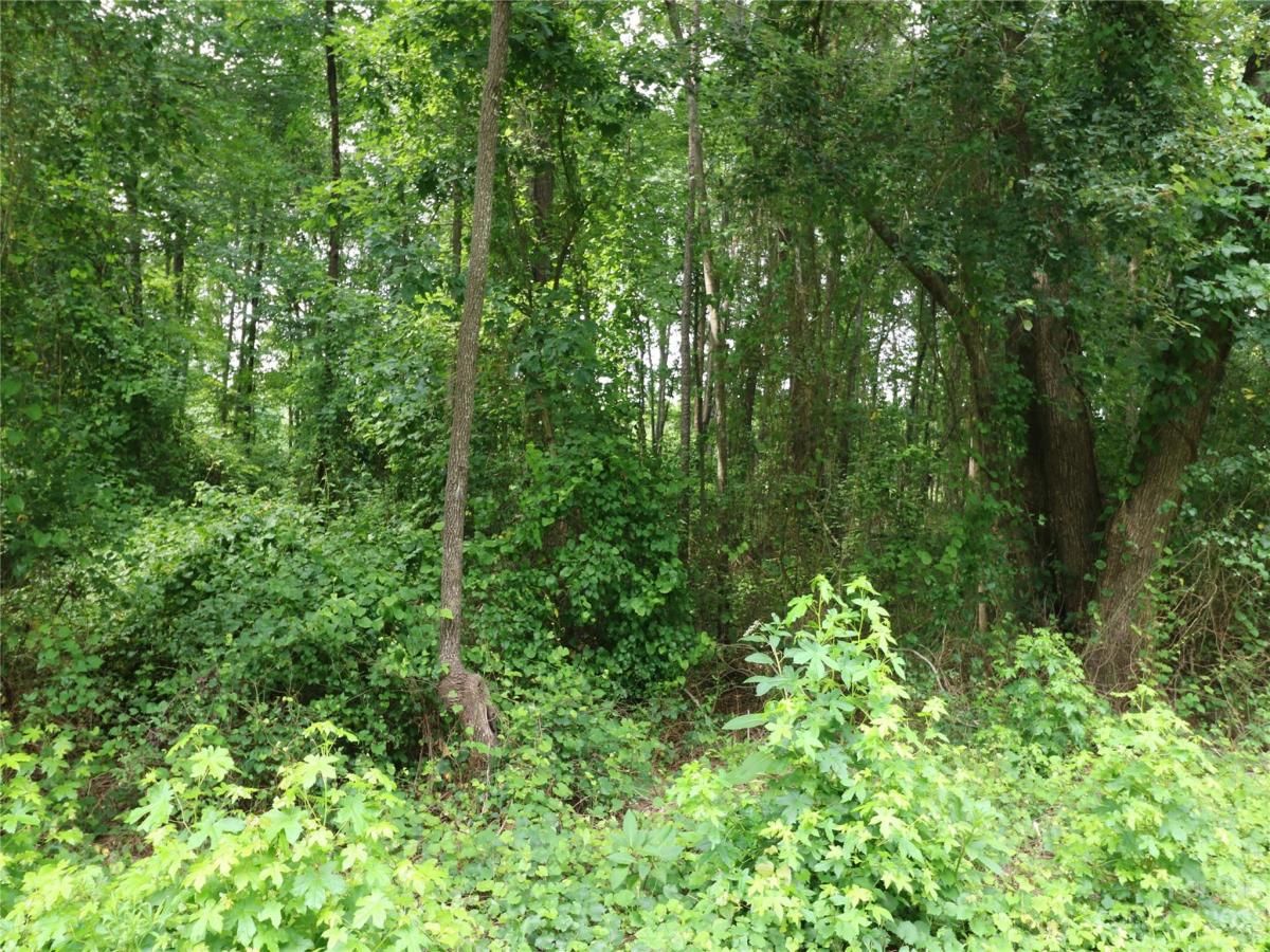 MLS #CAR4046631 img 2