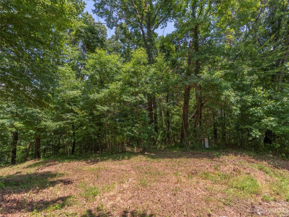 Tract 3 Sigogglin Trail Waynesville NC 28785 | CAR3675237