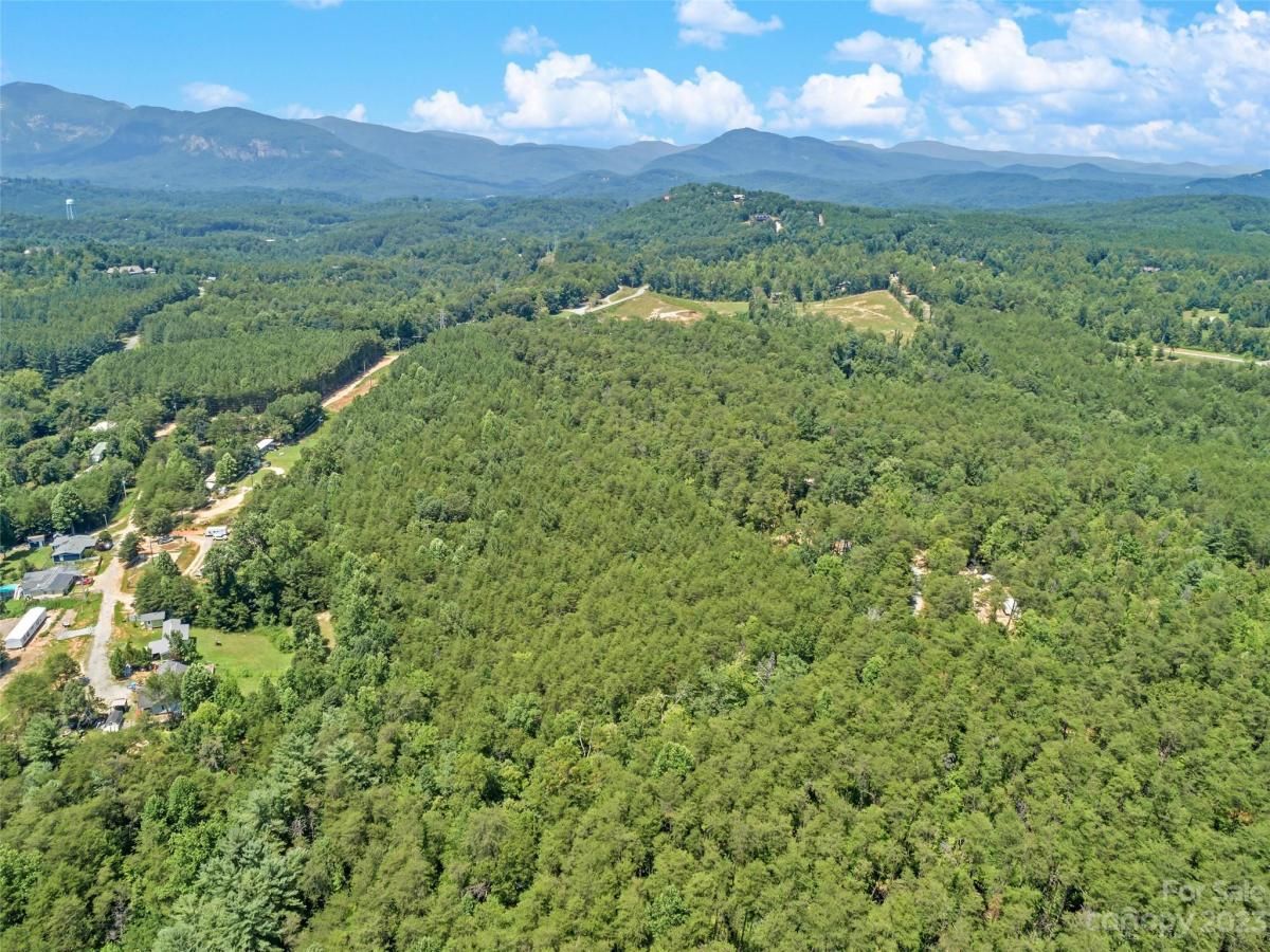 MLS #CAR4054690 img 10