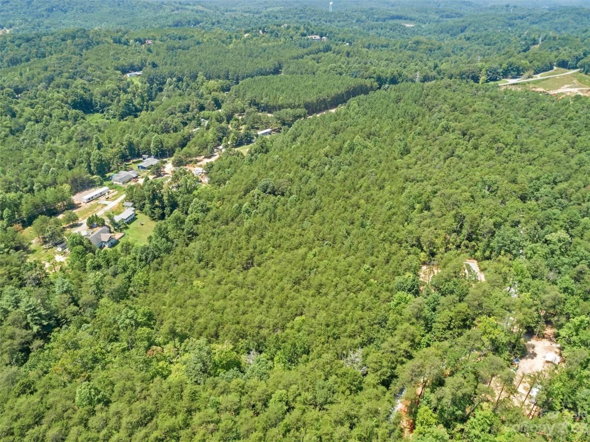 MLS #CAR4054690 img 11