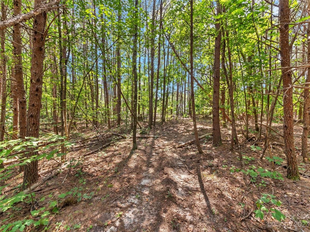 MLS #CAR4054690 img 13