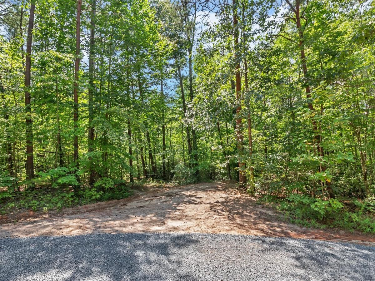 MLS #CAR4054690 img 4