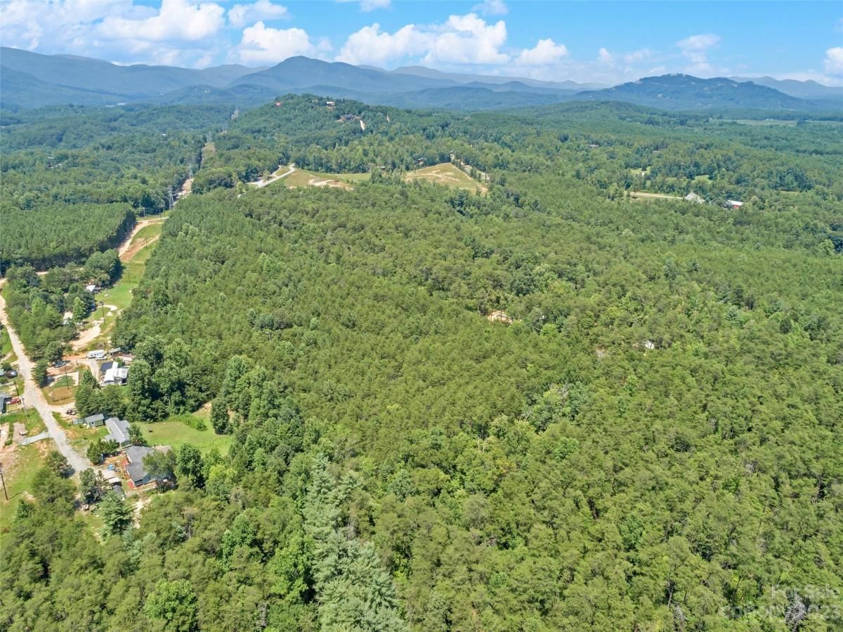 MLS #CAR4054690 img 9