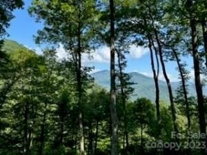 MLS #CAR4066224 img 0