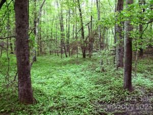 MLS #CAR4072408 img 1