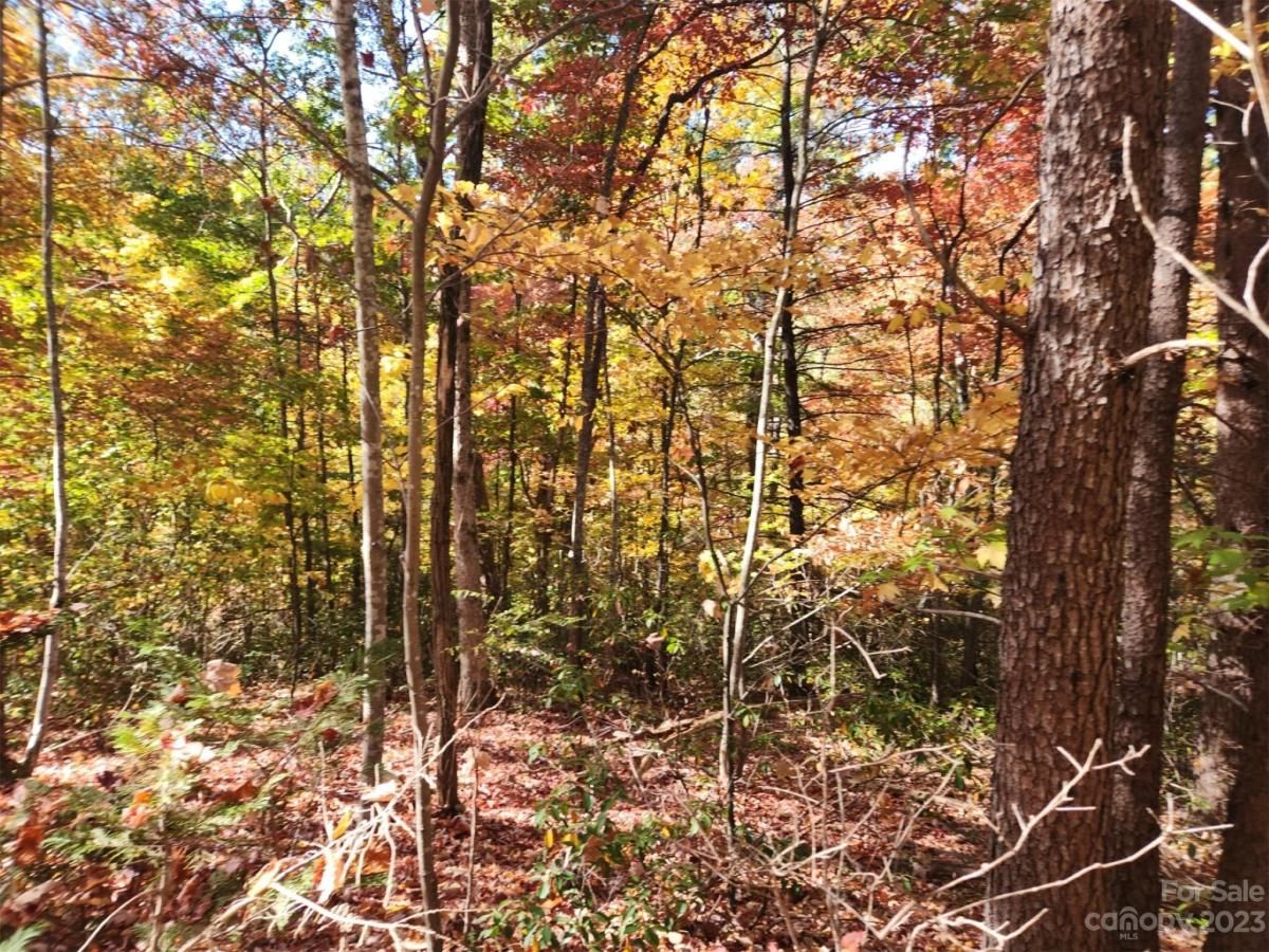 MLS #CAR4083029 img 1