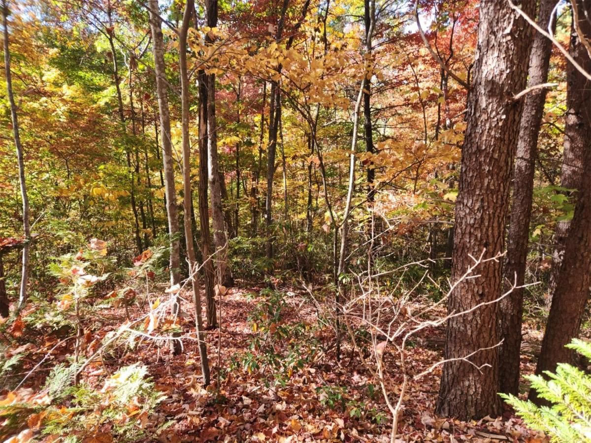 MLS #CAR4083029 img 2