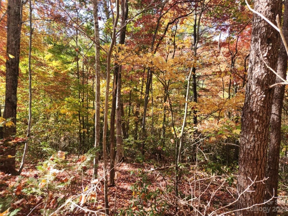 MLS #CAR4083029 img 3