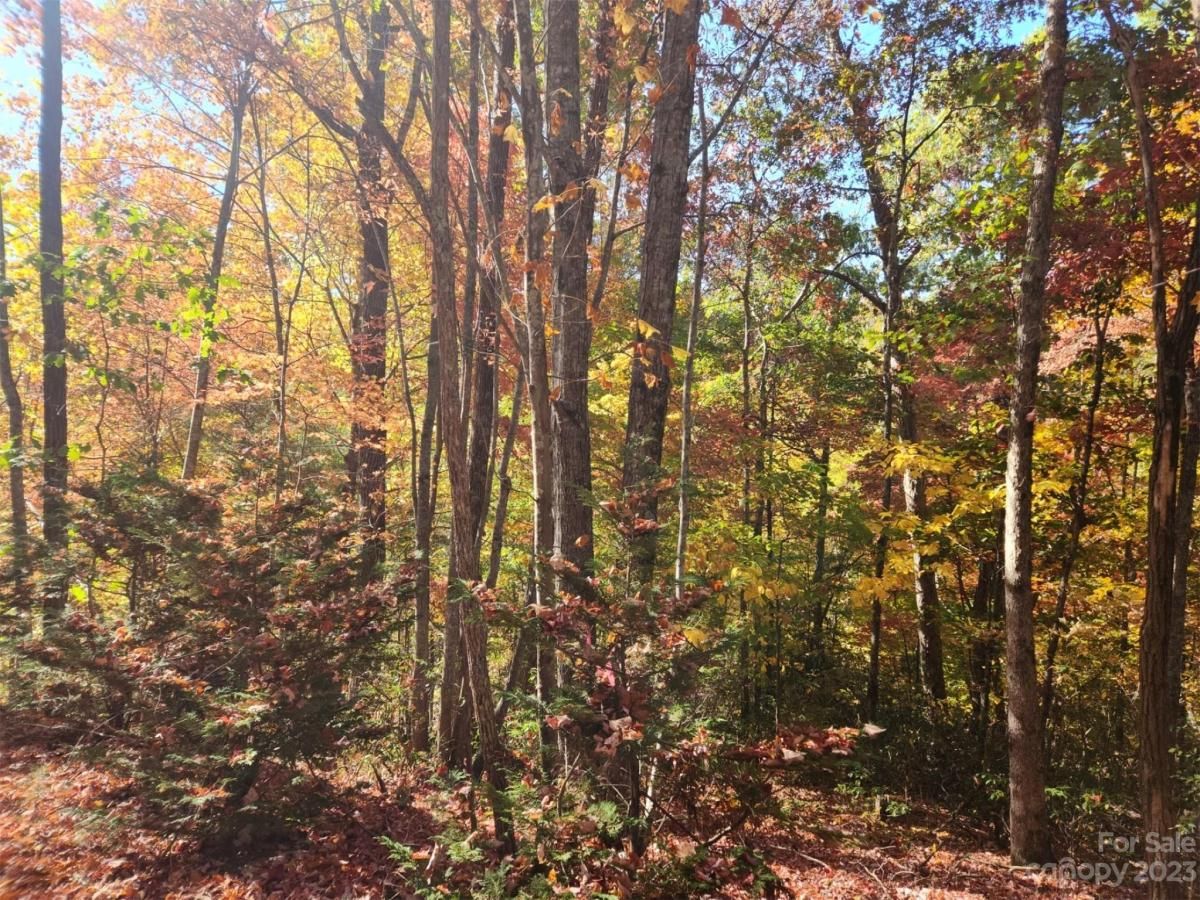 MLS #CAR4083029 img 5