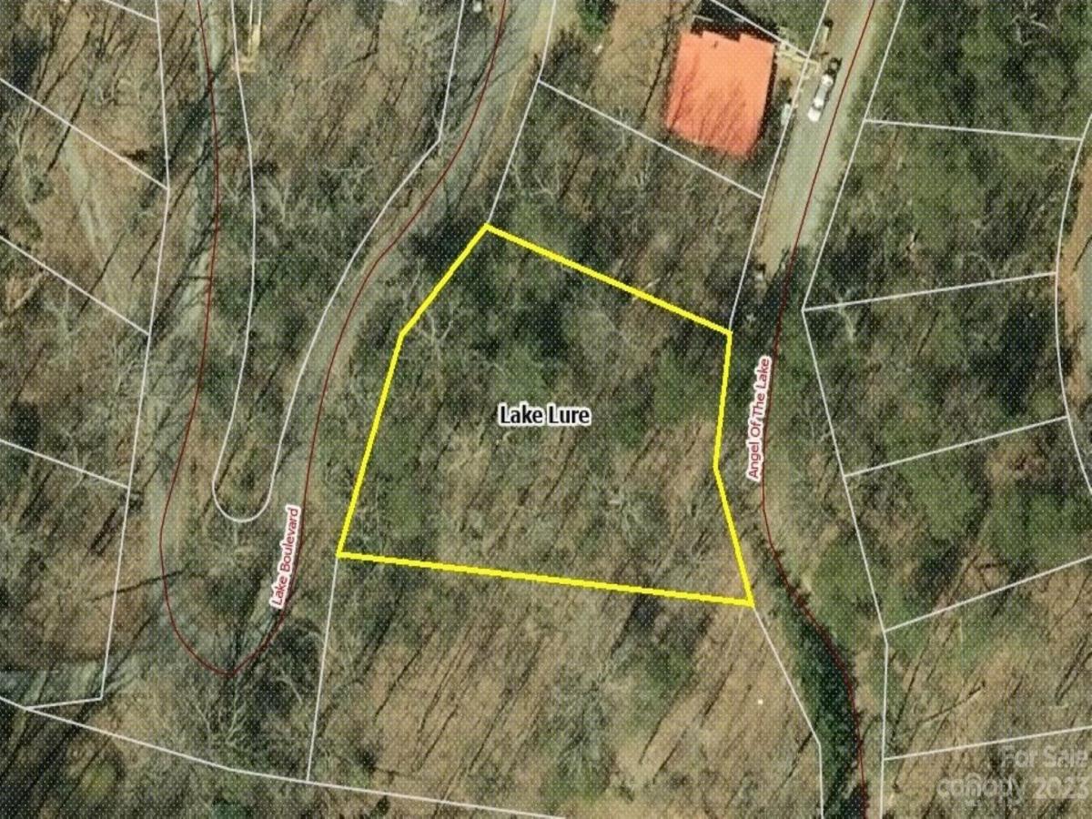 MLS #CAR4083029 img 7