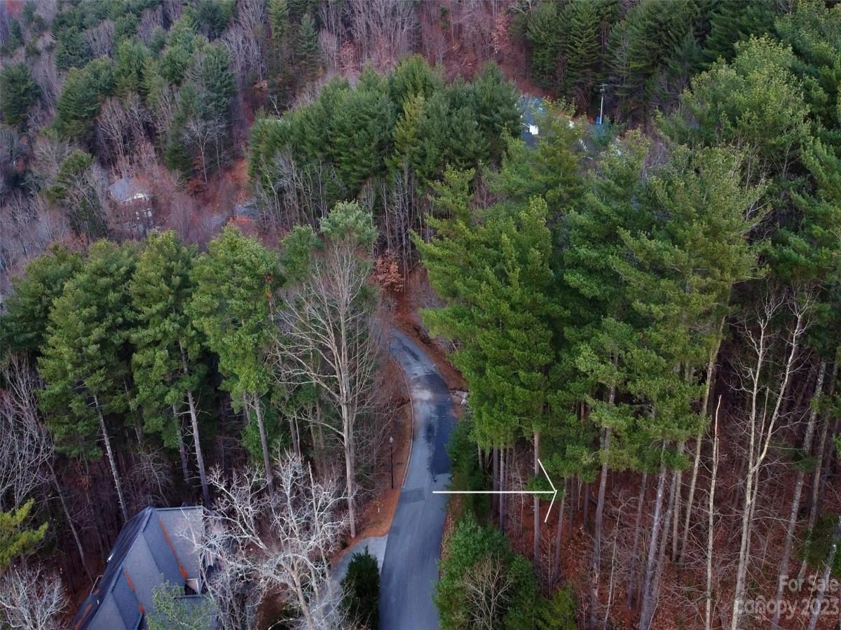 327 Chunns Cove Road Asheville NC 28805 MLS CAR4127170