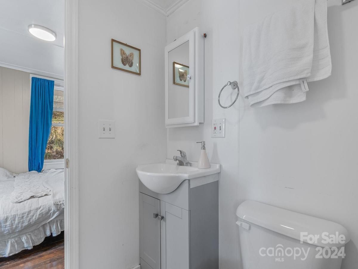 2366 Old Henson Cove Road Canton NC 28716 CAR4103952