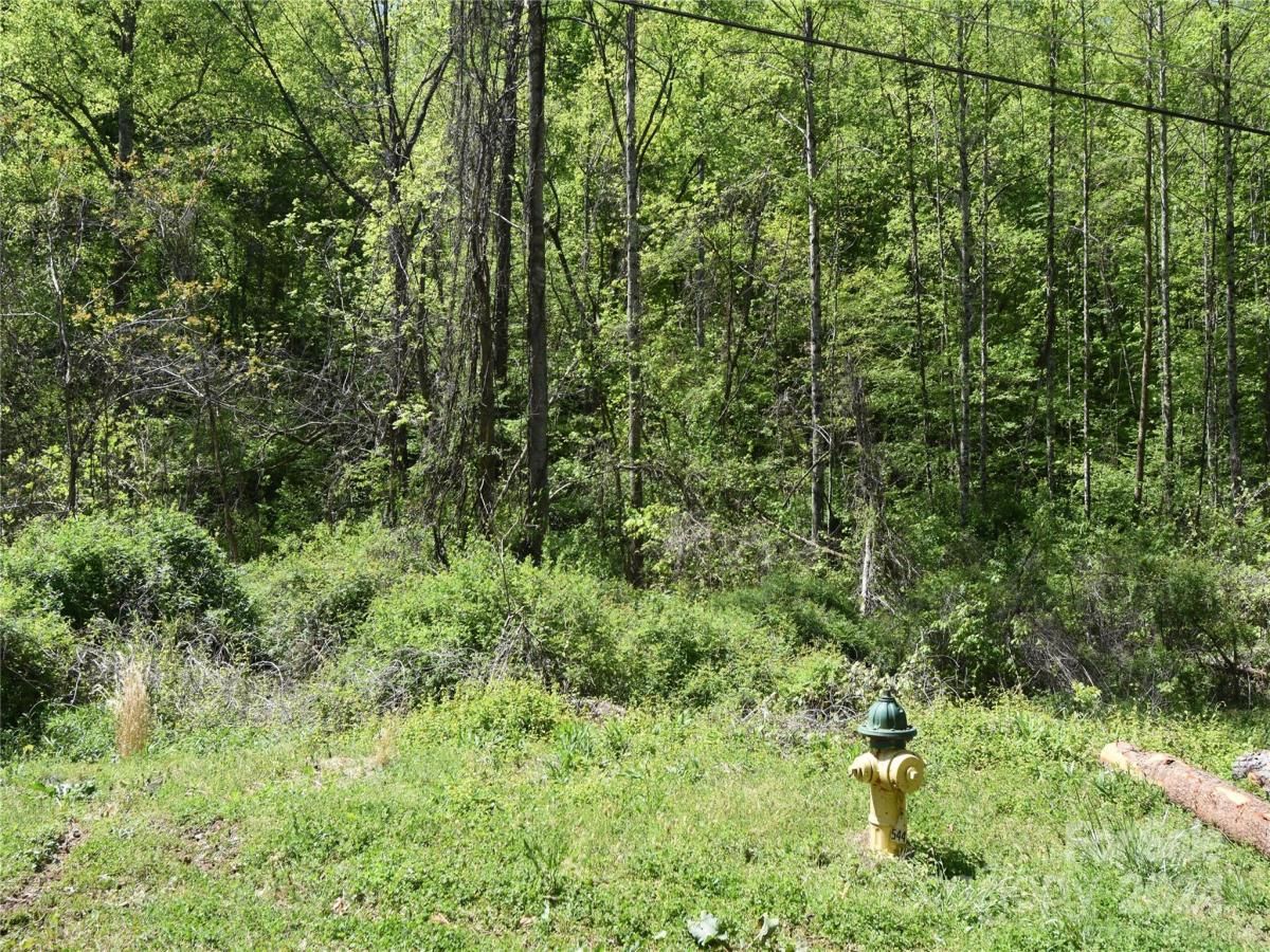 1294 Prince William Drive Lenoir NC 28645 CAR4072883