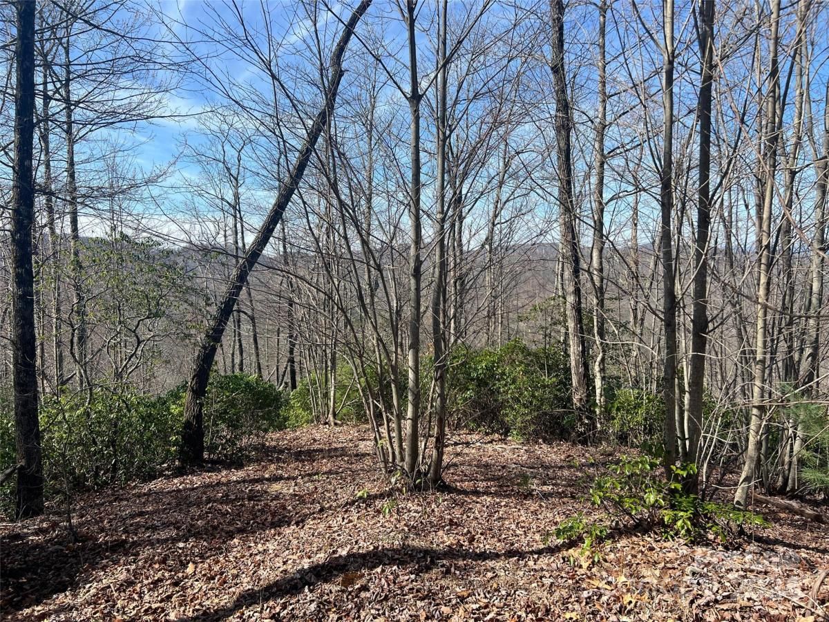 TBD Caitlin Raney Way 10R Dunns Rock NC 28712 MLS CAR4053959