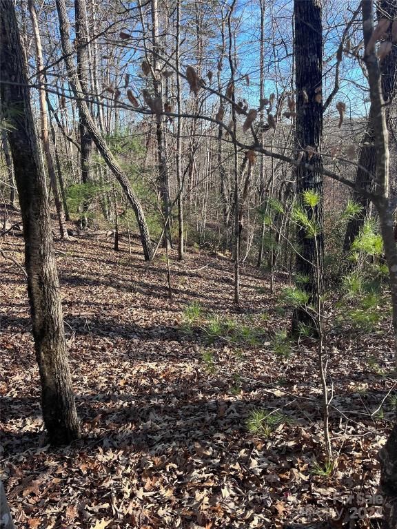 MLS #CAR4128178 img 1