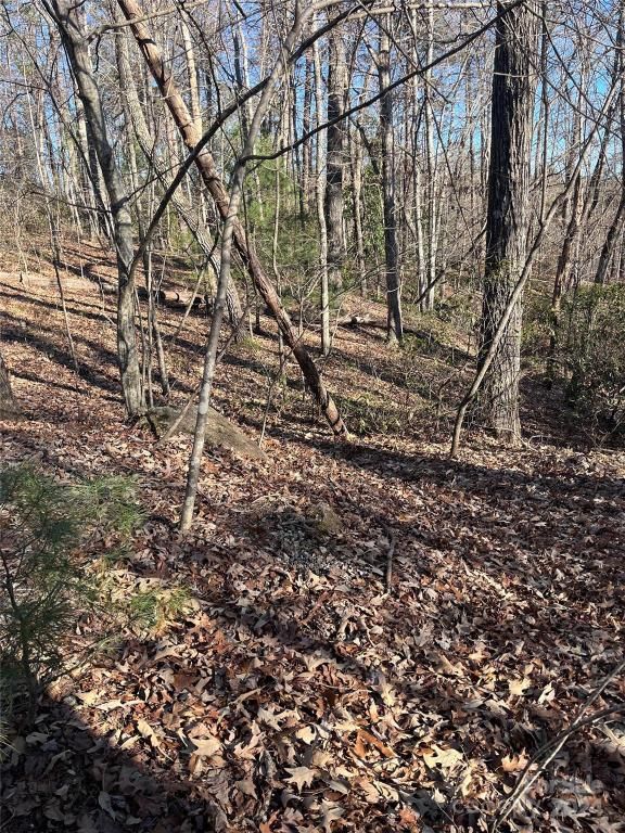 MLS #CAR4128178 img 10