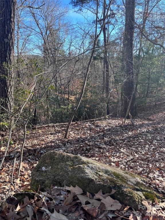 MLS #CAR4128178 img 3