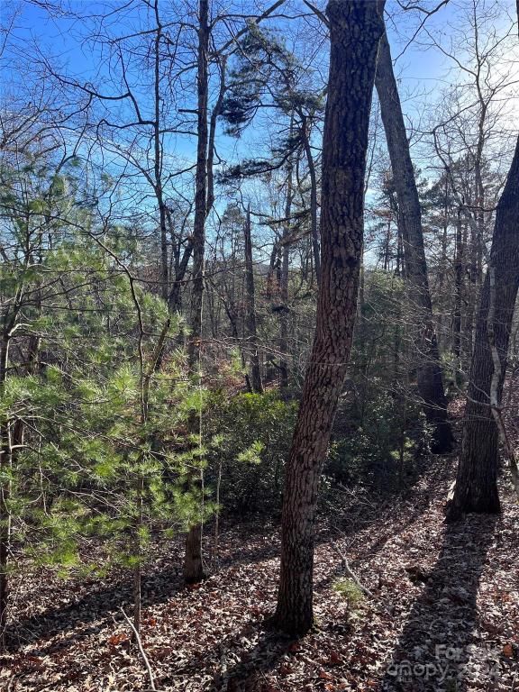 MLS #CAR4128178 img 4