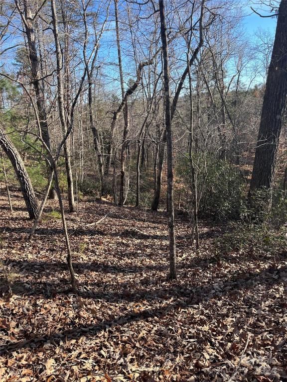 MLS #CAR4128178 img 5