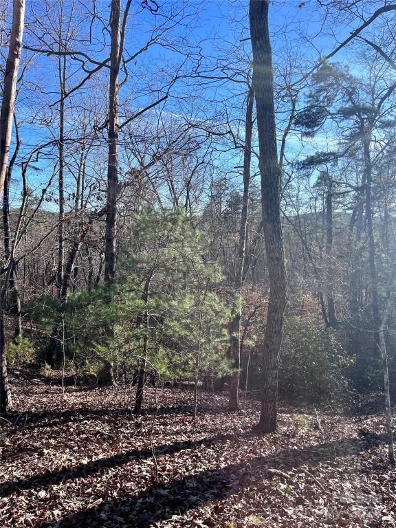 MLS #CAR4128178 img 6