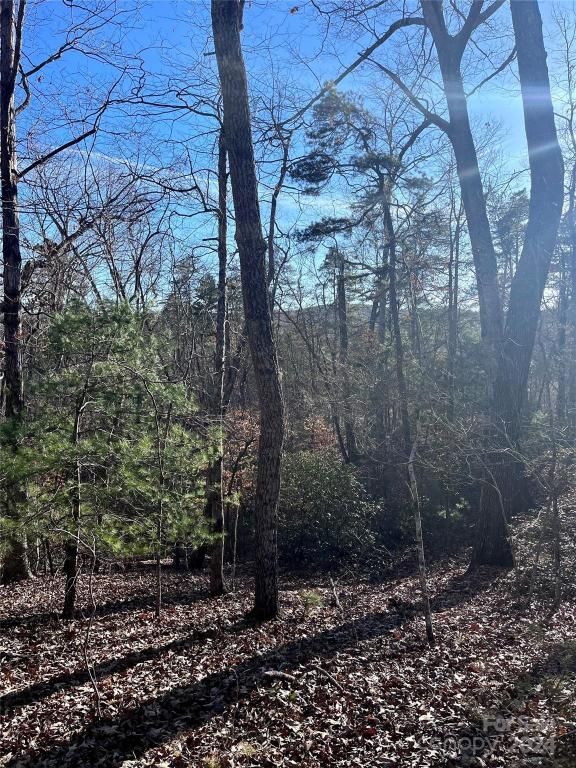 MLS #CAR4128178 img 7