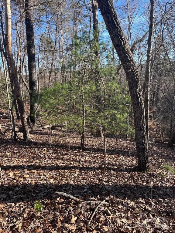 MLS #CAR4128178 img 8