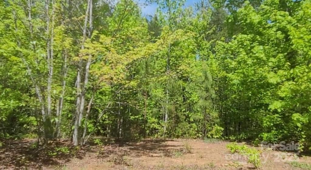 MLS #CAR4267320 img 0