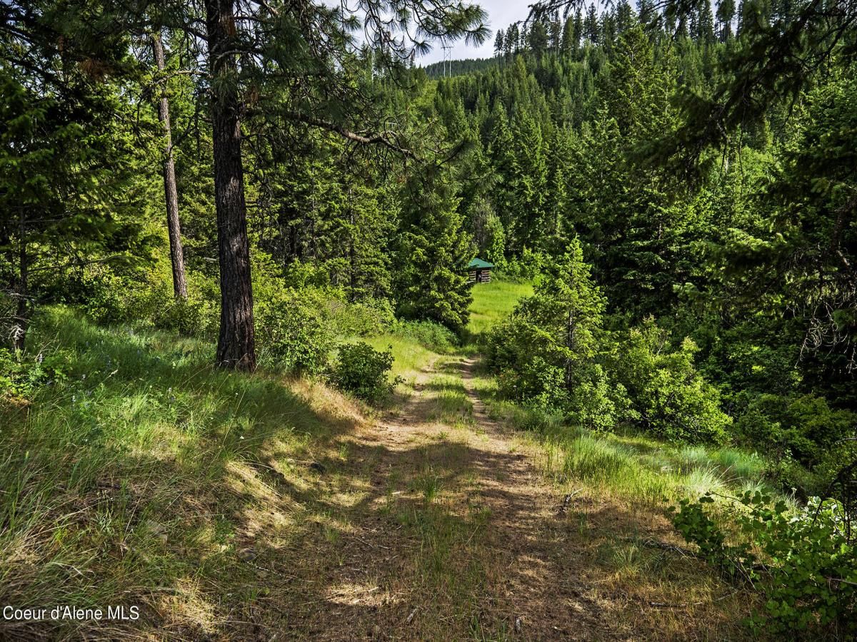 MLS #24-8019 img 0