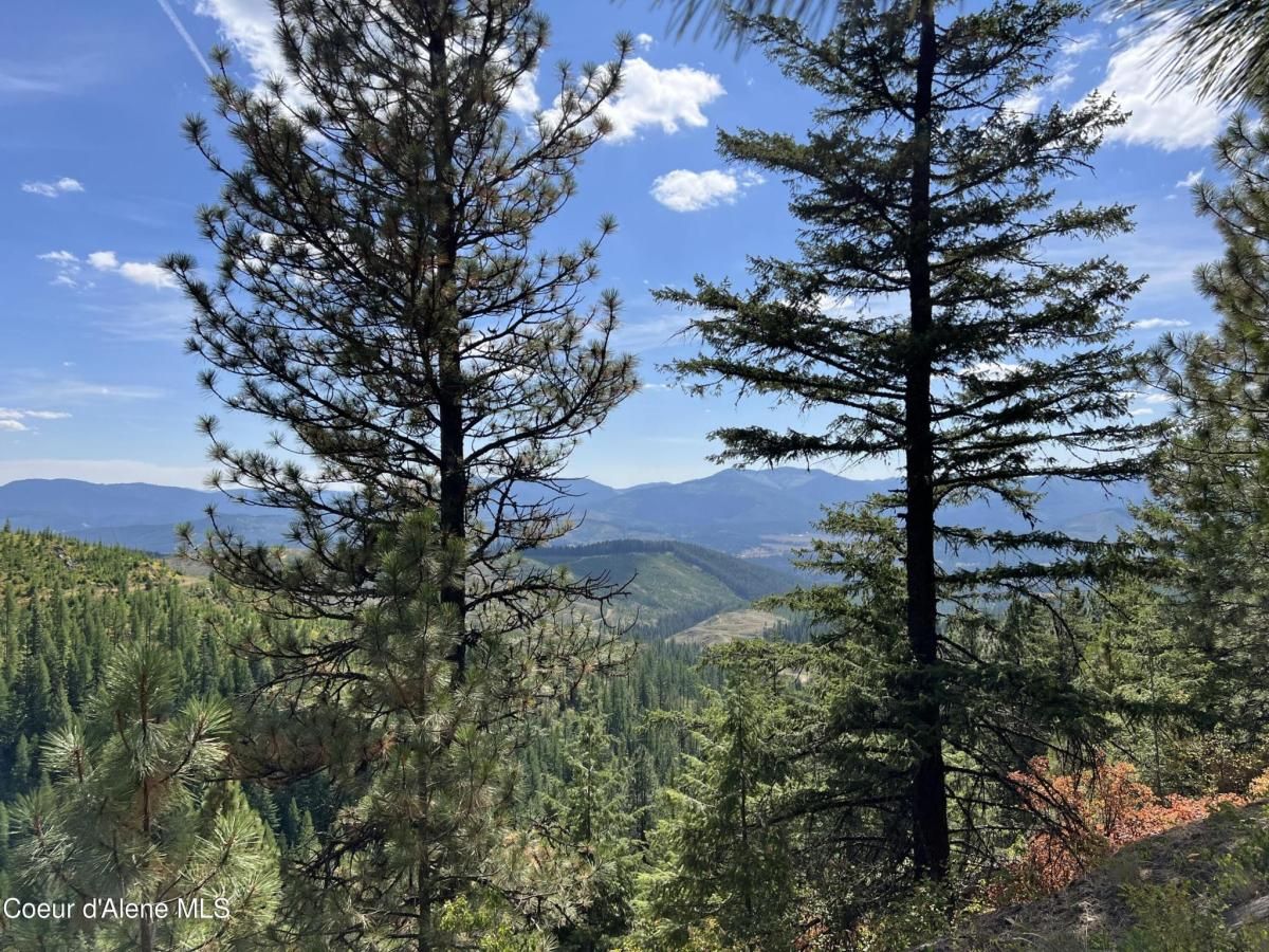 MLS #24-8749 img 0