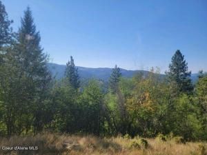 MLS #24-8804 img 0