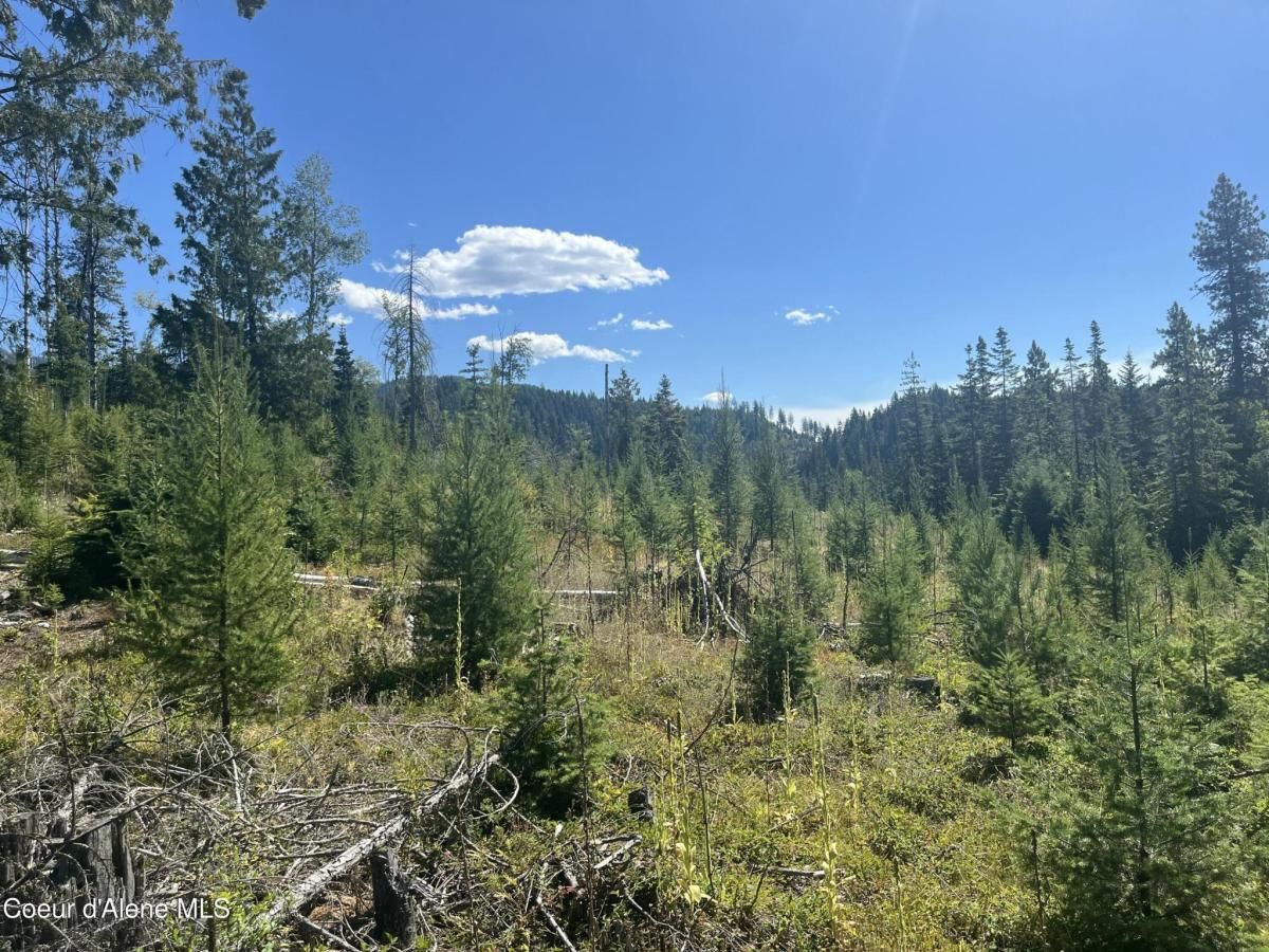 MLS #25-1334 img 0
