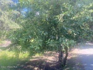 MLS #25-1722 img 0