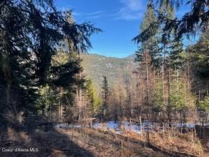 MLS #25-2279 img 0