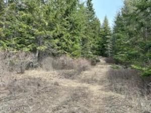 MLS #25-2845 img 0