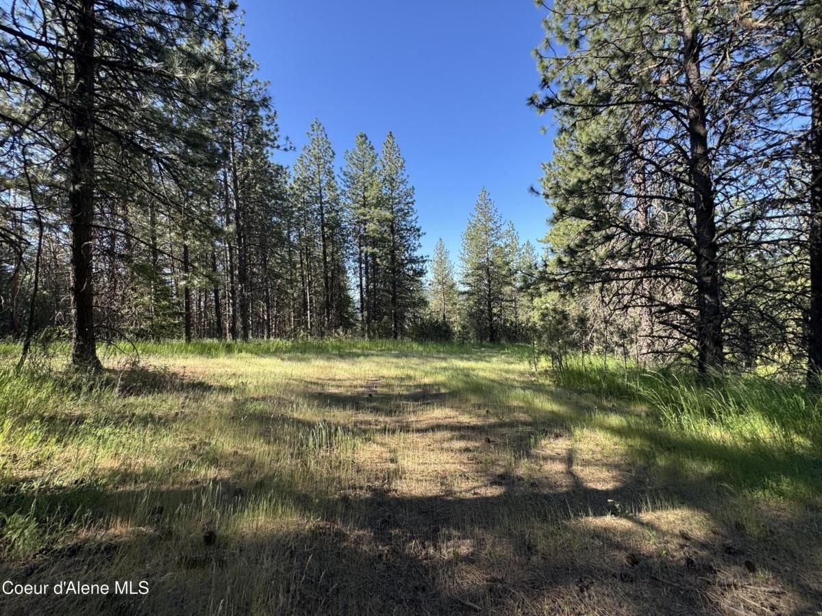 MLS #25-288 img 0