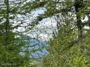 MLS #25-3193 img 0