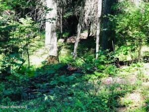 MLS #25-3419 img 0