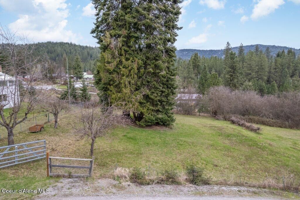 MLS #25-3529 img 0