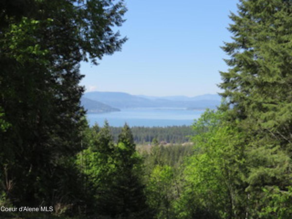 MLS #25-3975 img 0
