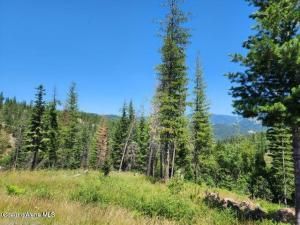 MLS #25-3988 img 0
