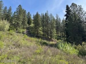 MLS #25-3998 img 0