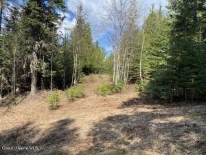 MLS #25-4559 img 0