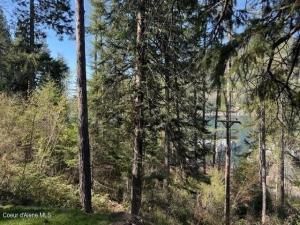 MLS #25-5122 img 0